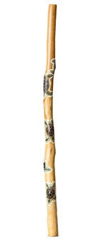 Heartland Didgeridoo (HD538)